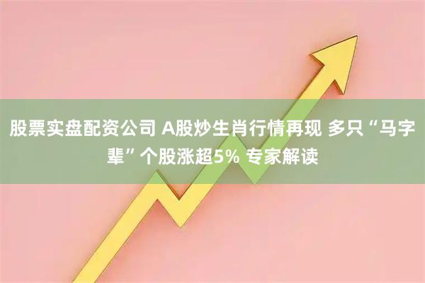 股票实盘配资公司 A股炒生肖行情再现 多只“马字辈”个股涨超5% 专家解读