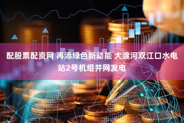 配股票配资网 再添绿色新动能 大渡河双江口水电站2号机组并网发电